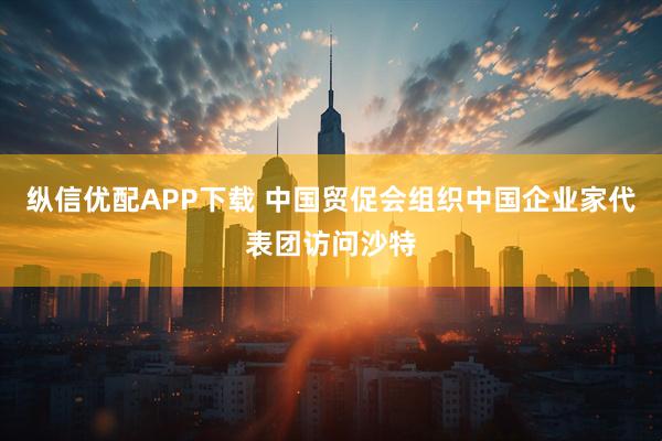 纵信优配APP下载 中国贸促会组织中国企业家代表团访问沙特