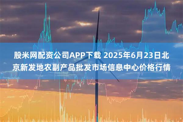 股米网配资公司APP下载 2025年6月23日北京新发地农副产品批发市场信息中心价格行情