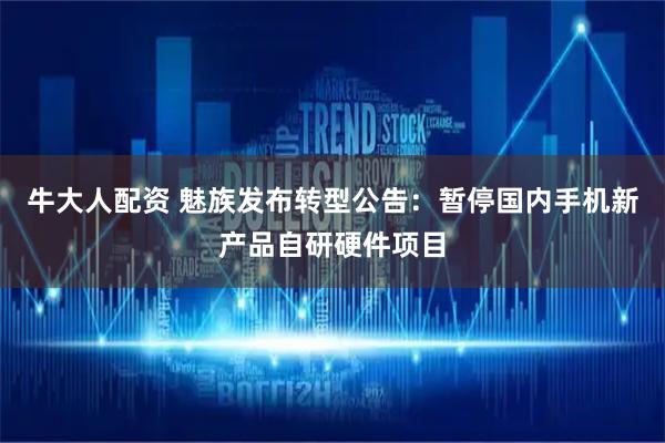 牛大人配资 魅族发布转型公告：暂停国内手机新产品自研硬件项目